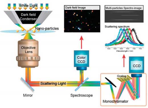 小尺度結(jié)構(gòu)研究必備&mdash;&mdash;暗場(chǎng)散射光譜